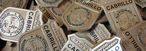 Junior Ranger Badges